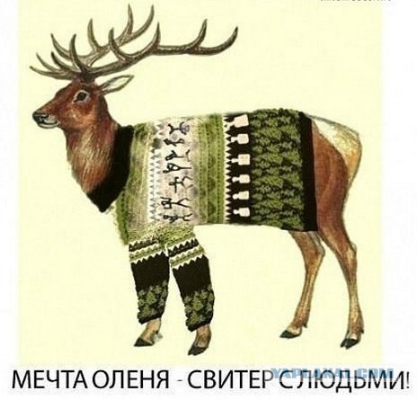 Всем зеленки!
