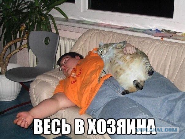 Cмешные баяны