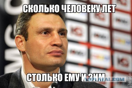 Собака на сутки стала мэром Сан-Франциско