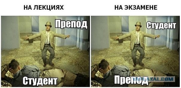 Новые цитаты преподавателей ВУЗов