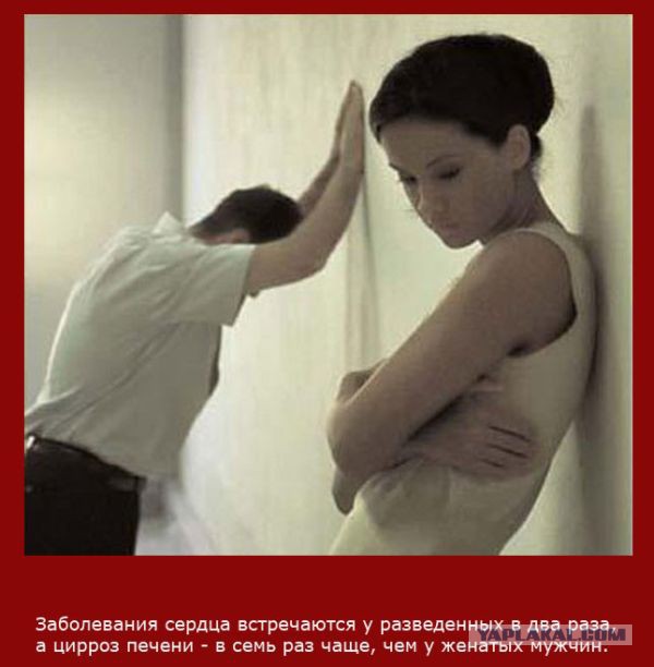 20 фактов обо всем