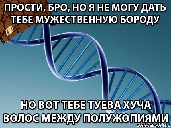 Размышления о бороде