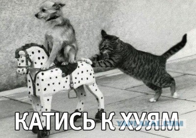 Крысиные бега... «Оппозиционеры» покидают страну
