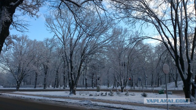 Латвия, Лиепая, район Кароста