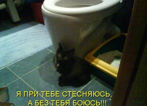 Картинки с буквами -11