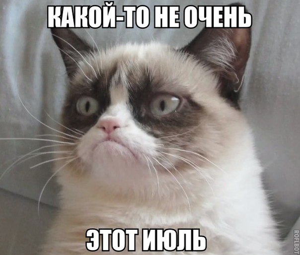 Питерское лето 2015