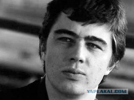 Вечно молодой, вечно пьяный