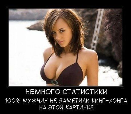Картинки