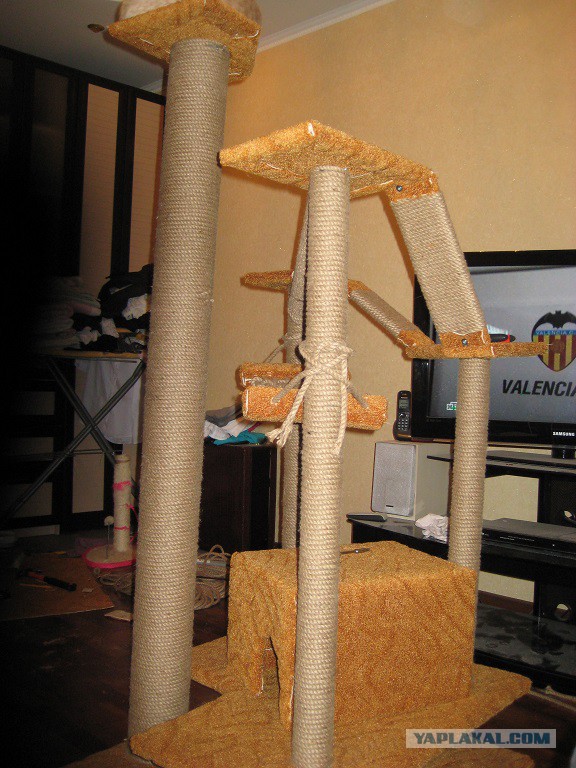 Кошкин дом - он такой