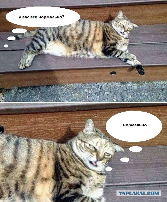 Картинки разные с просторов
