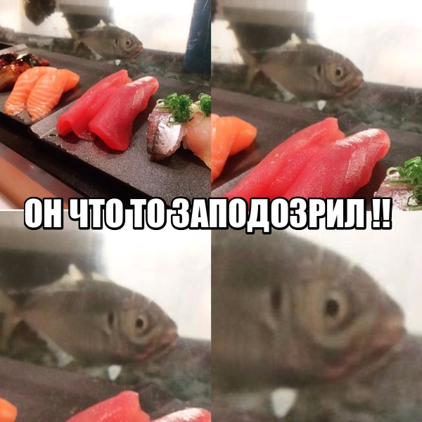Подборка картинок из сети