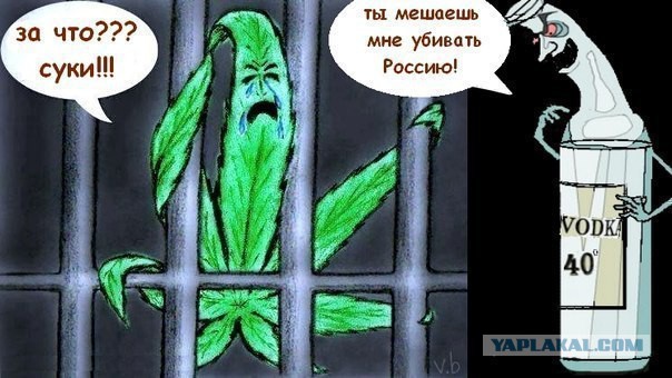 Карантин...