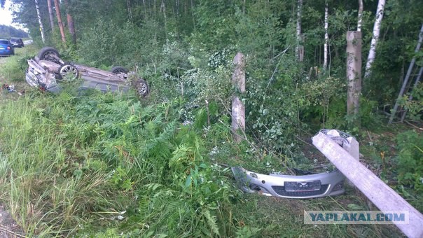 Во Всеволожске золотая молодежь устраивает охоту на автомобилистов