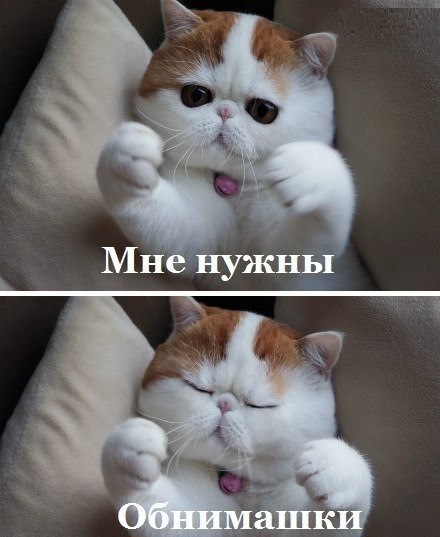 Обнимите меня, кому не лень.