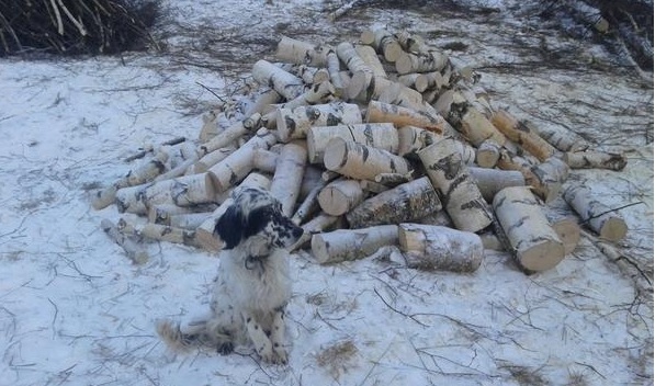 Интересные моменты из жизни  деревни