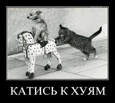 Когда синдром царька зашкаливает...