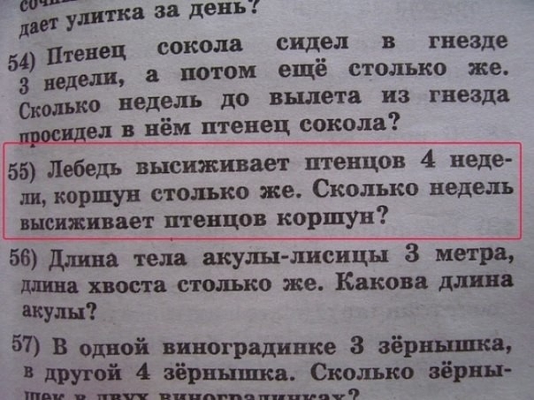 Весёлые картинки