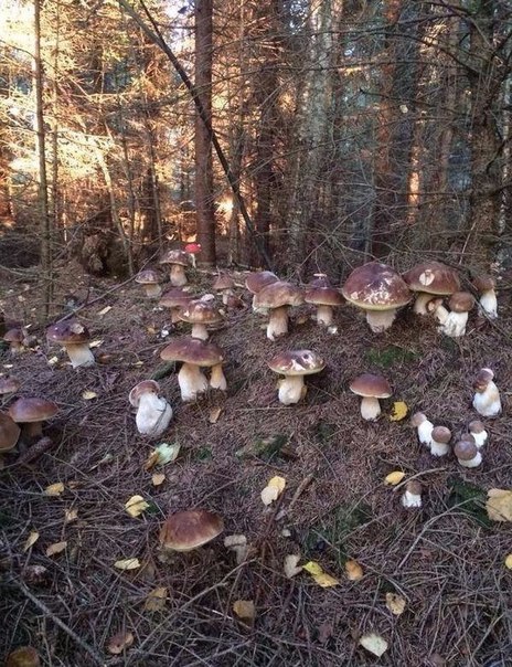 Интересные и веселые картинки