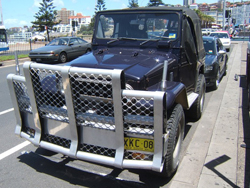 Разъездились тут, проскакать негде