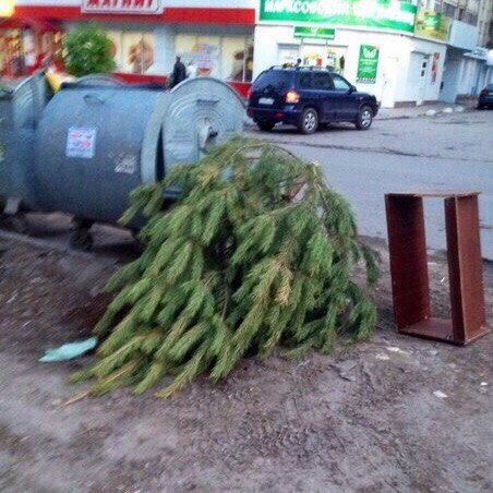 Подборка картинок