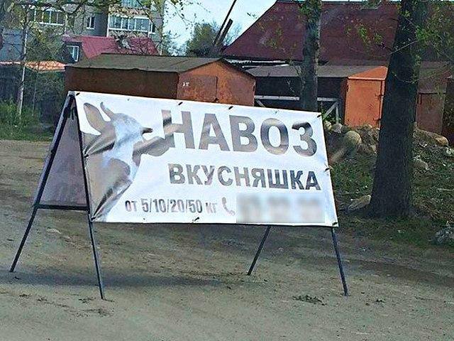 Весёлые картинки для настроения