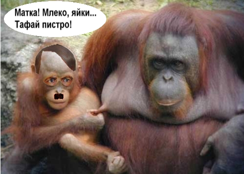 Фотожаба: Гитлер