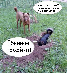 Фотожаба: да здесь где-то недалеко!