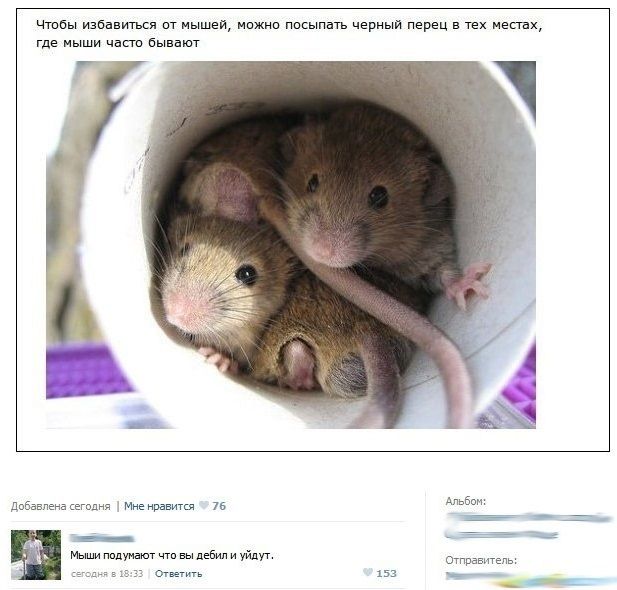 Ужасы и приколы из соцсетей 18+