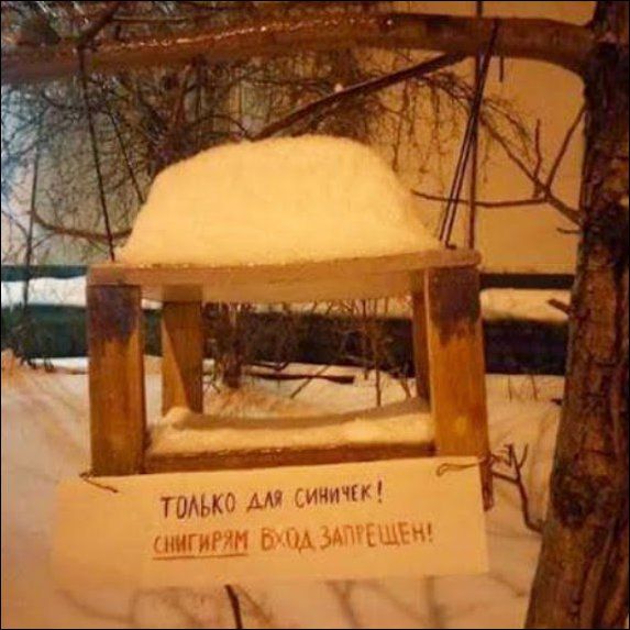 Подборка картинок