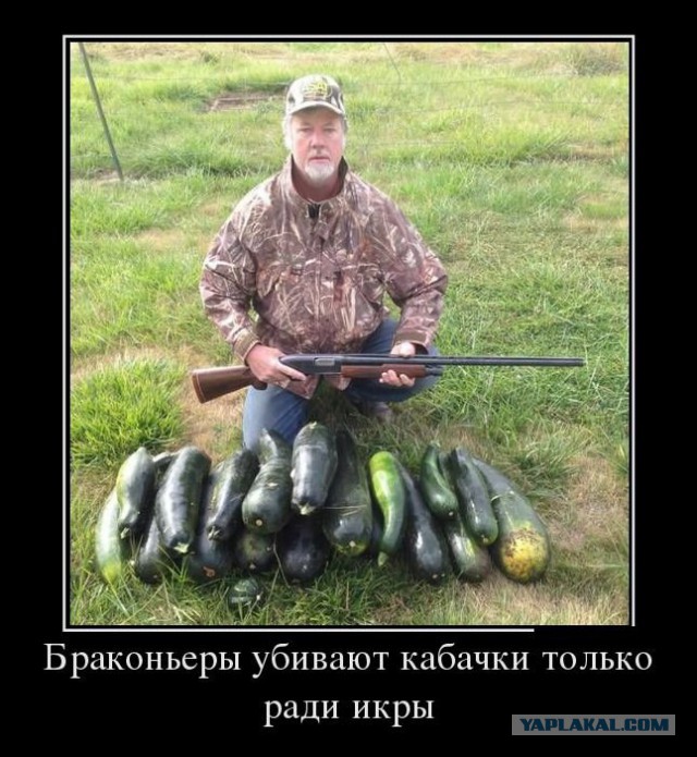 Маразмом по понедельнику