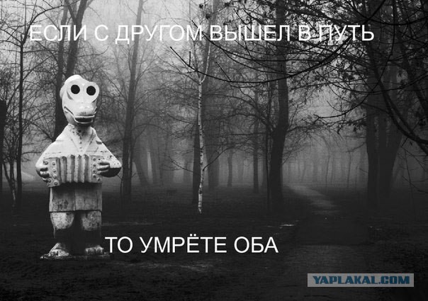 Подборка интересных и веселых картинок