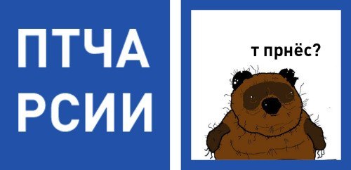 Орден черепахи!