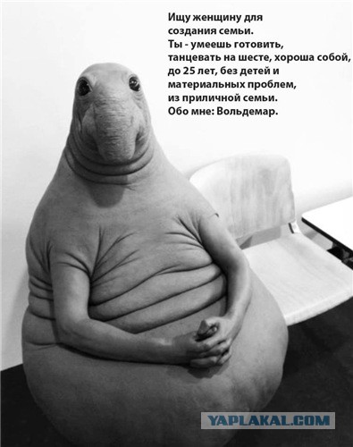 Личное и персональное мнение по разведенкам