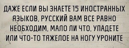 Казахский волк