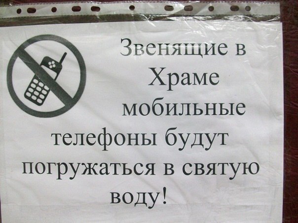 Подборка безудержного веселья