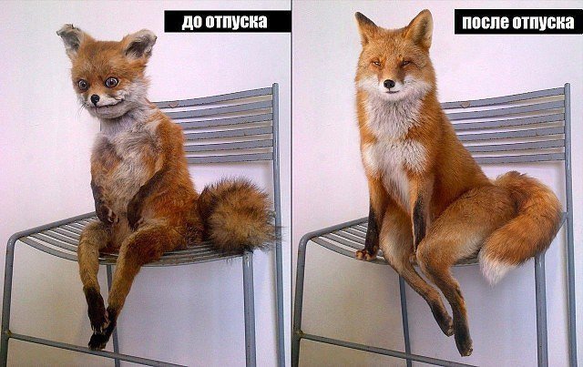 Подборка безудержного веселья