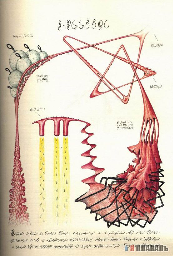 Codex Seraphinianus - что курил автор?