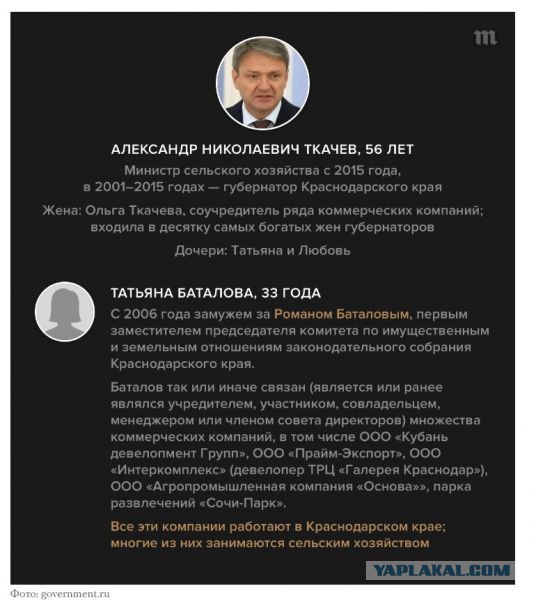 Как устроились дети чиновников