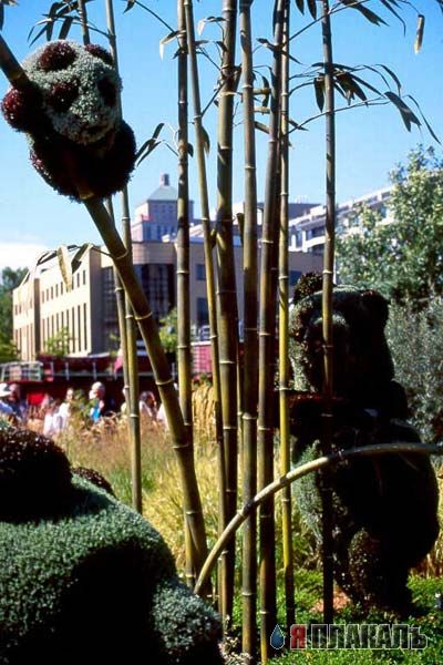 Креативное "кустарное" искусство