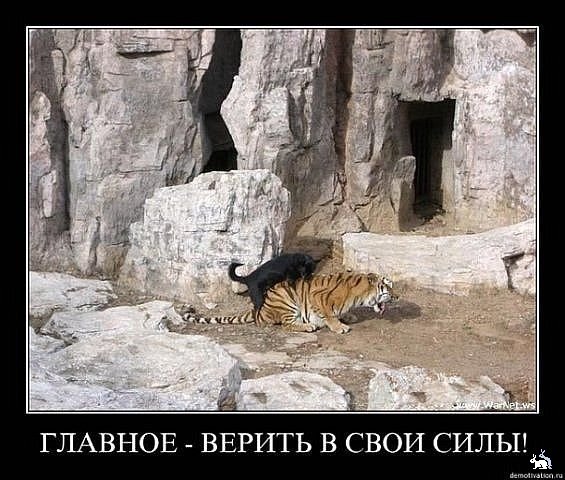 Забавные картинки из Сети.