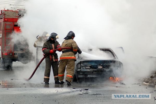 Злодеяния бутовского пиромана