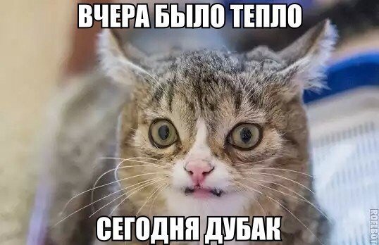 Нестандартный юмор