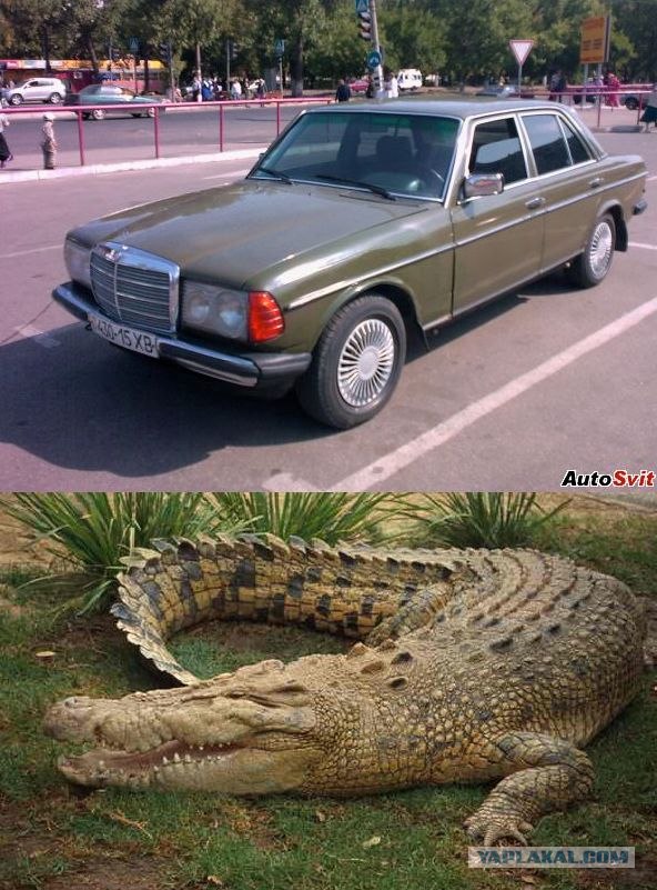 Клички у автомобилей