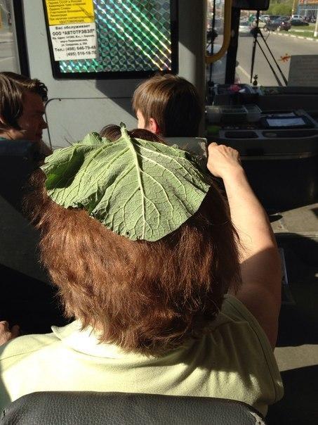 Чудики из социальных сетей