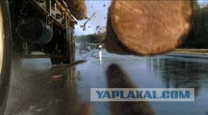 Toyota 4Runner против дерева