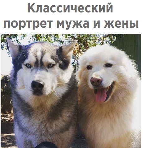 Немного пошлости на вечер субботы