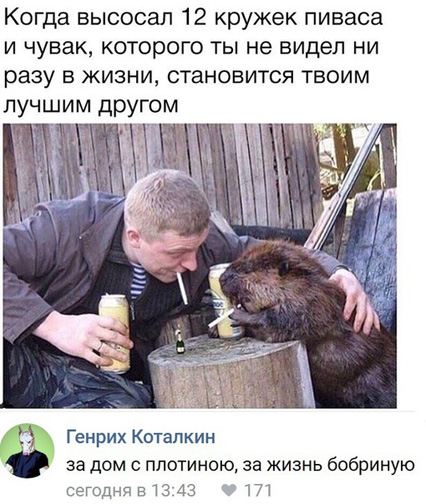 Прикольные комментарии и высказывания из Сети