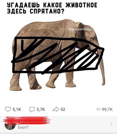 Да что тут вообще происходит?