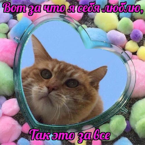 Специфический юмор