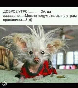 Картинок пост